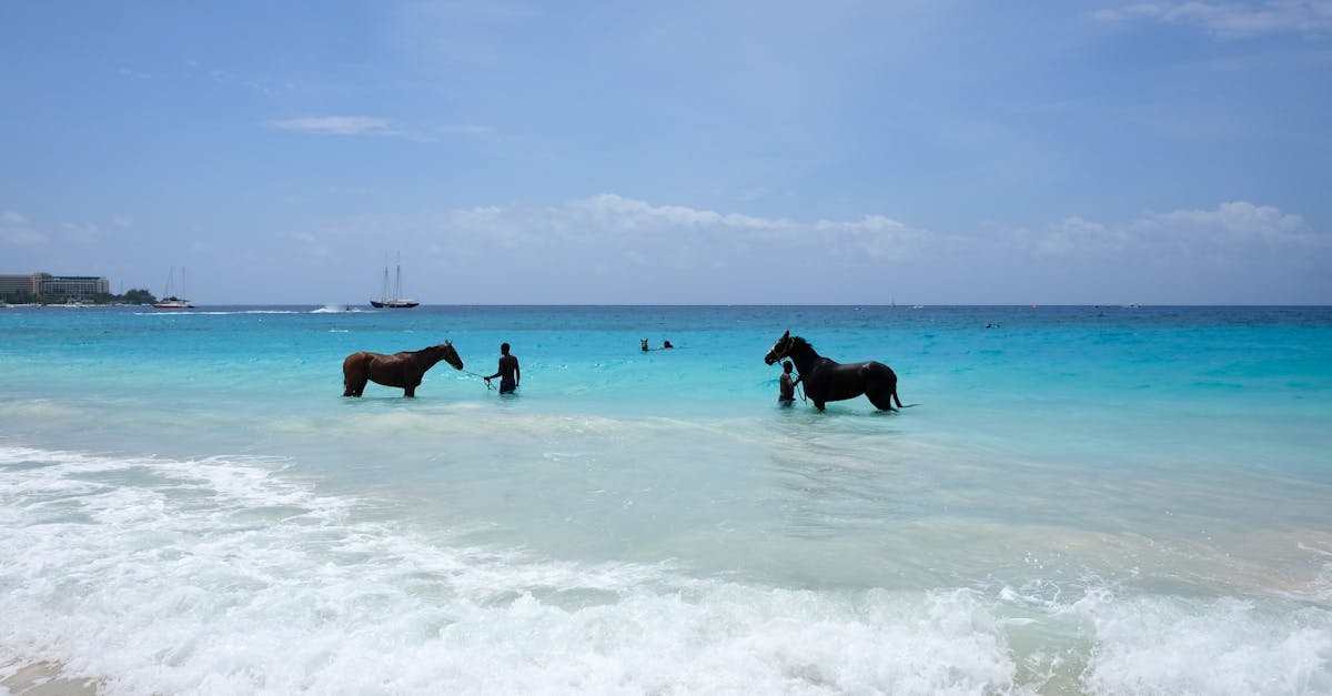 Barbados, Barbados