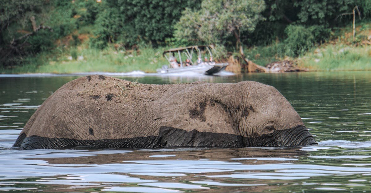 Chobe, Botswana