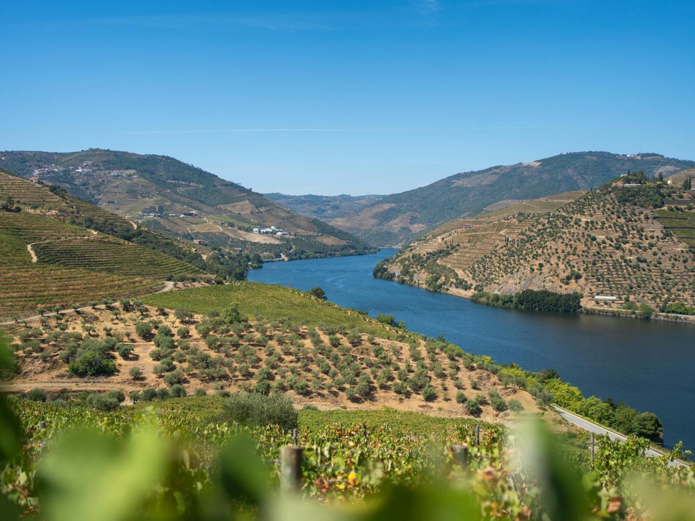 Douro Valley, Portugal