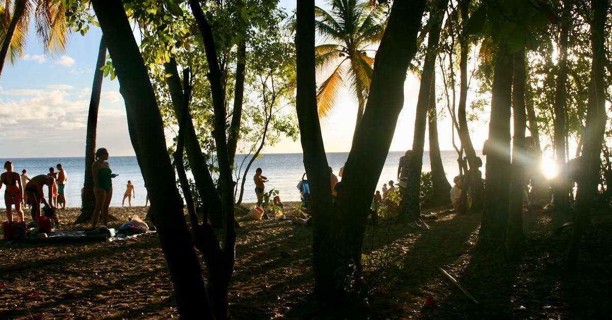 Martinique, Martinique