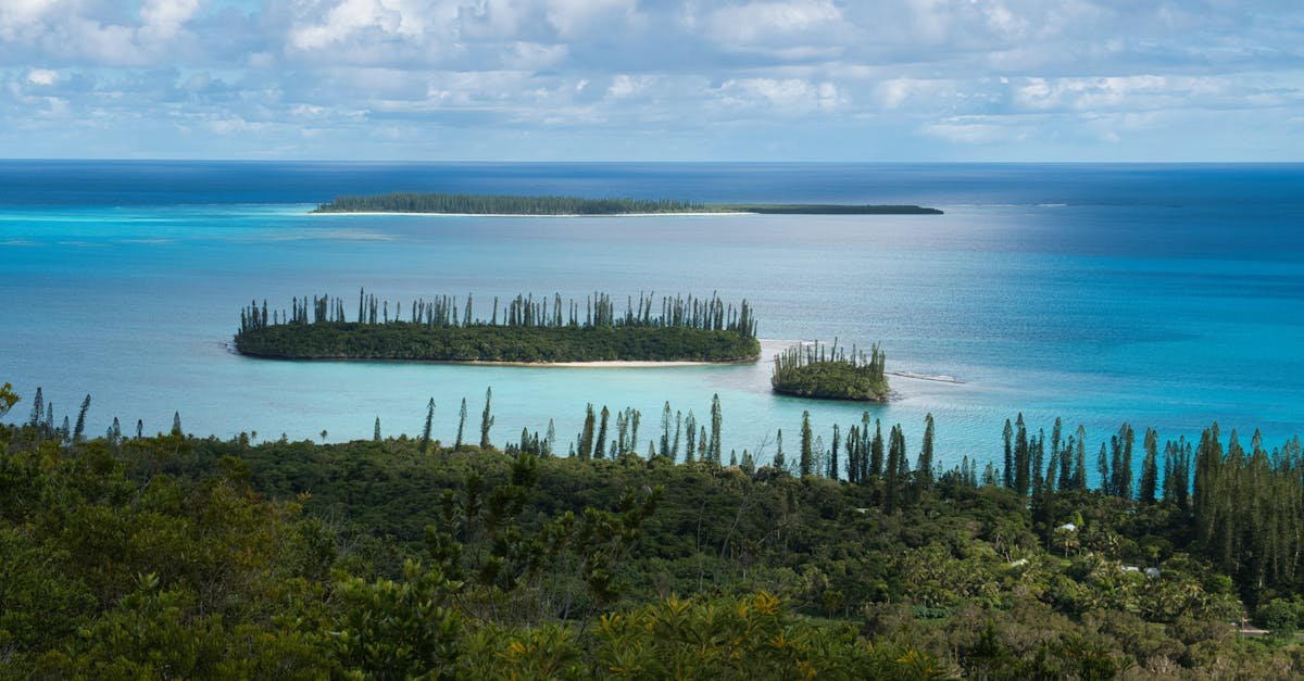 New Caledonia, New Caledonia