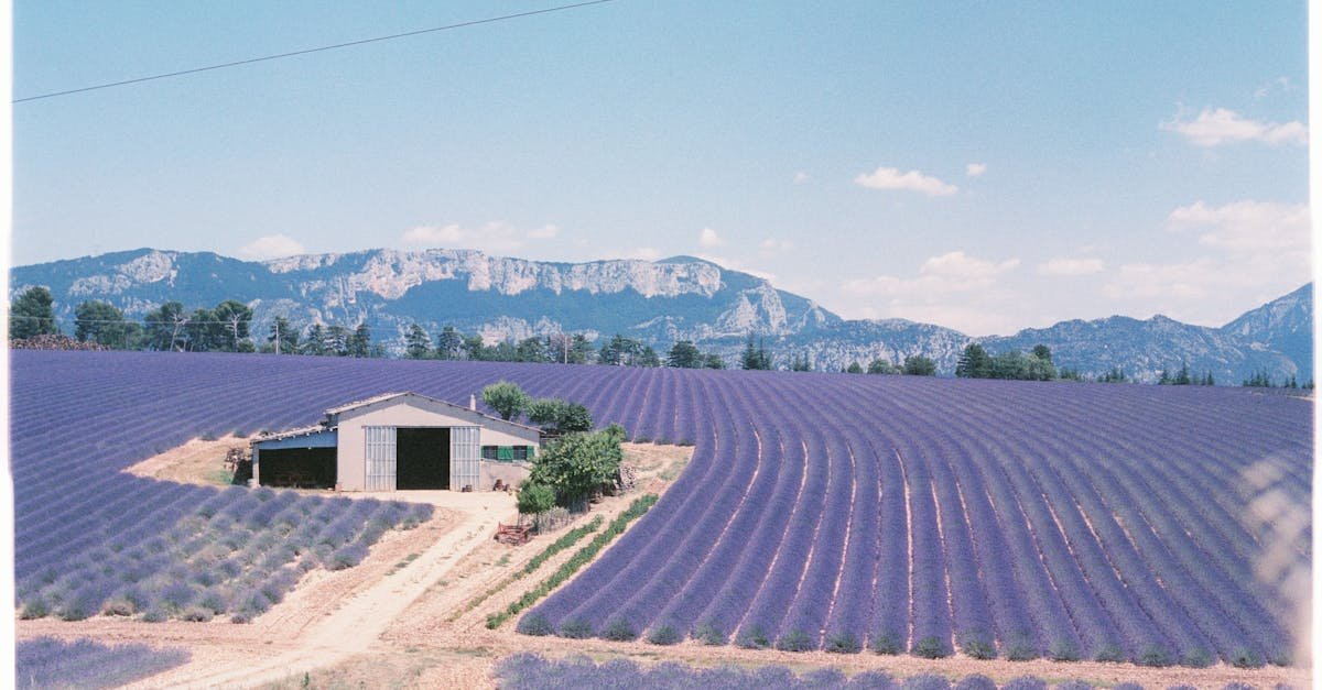 Provence, France