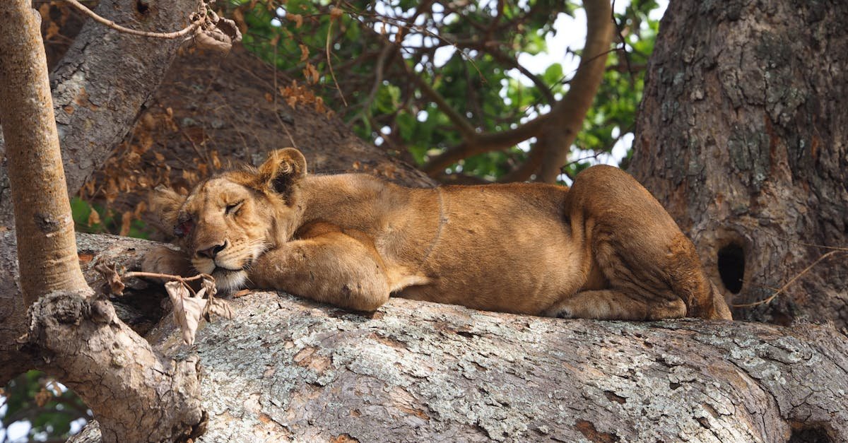 Queen Elizabeth NP, Uganda
