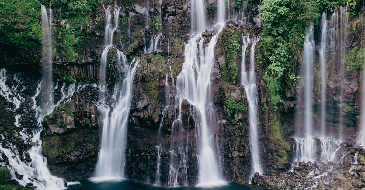 Reunion Island, Reunion