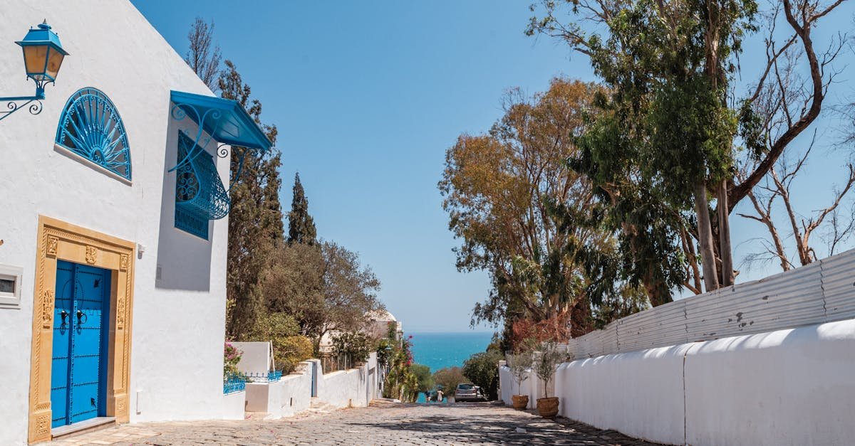 Sidi Bou Said, Tunisia