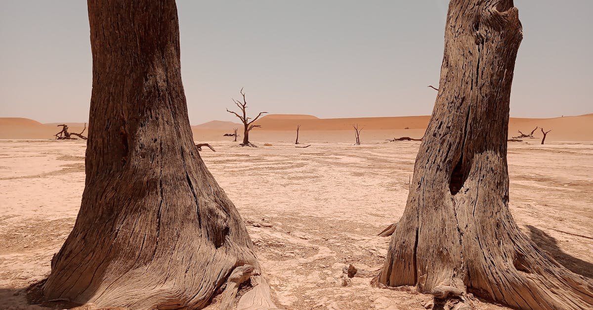 Sossusvlei, Namibia