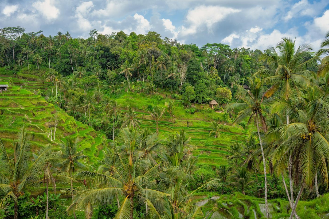 Ubud, Indonesia